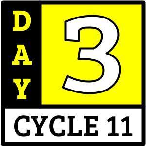 Cycle 11, Day 3