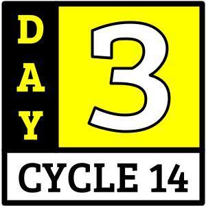 Cycle 14, Day 3