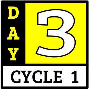 Cycle 1, Day 3