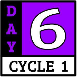 Cycle 1, Day 6