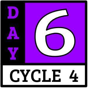 Cycle 4, Day 6