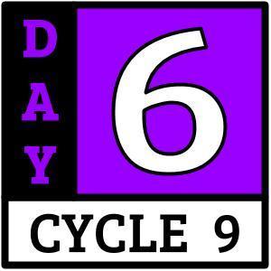 Cycle 9, Day 6